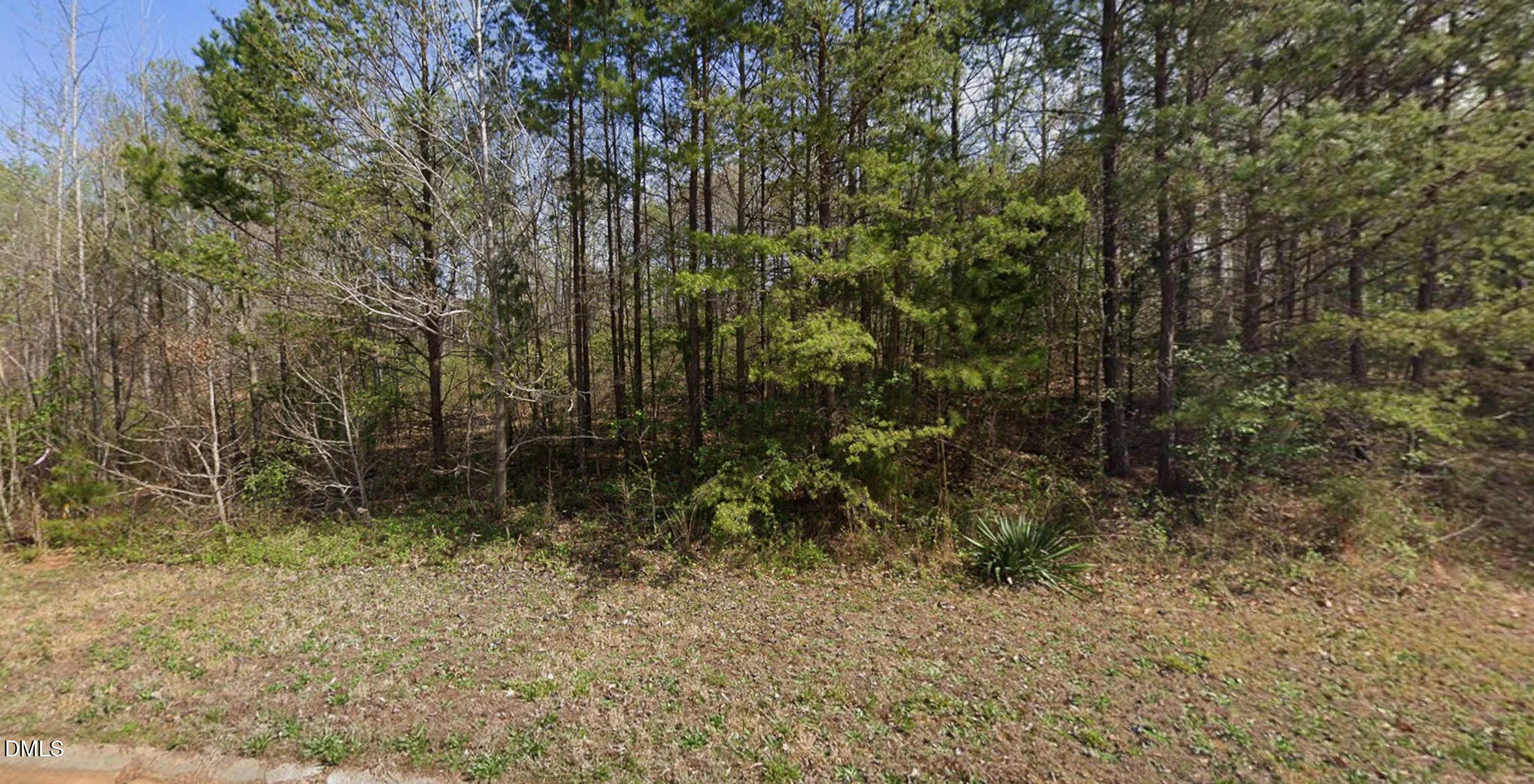 7411 Birchbend Lane