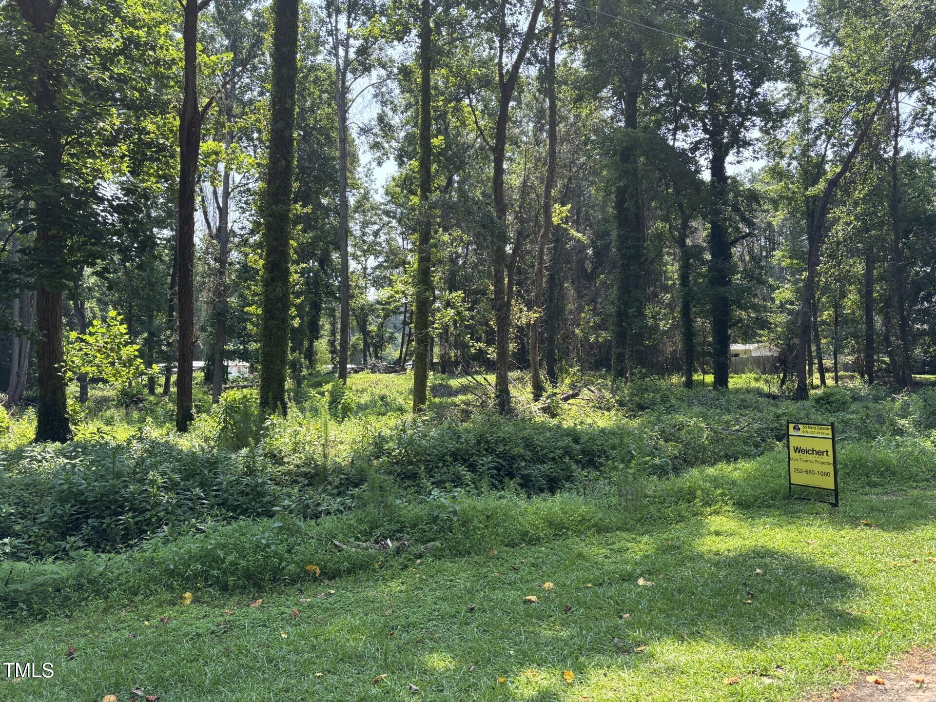 405 Meadow Dr. Drive