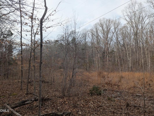 0 DIRGIE MINE ROAD, ROXBORO, NC 27574 - Image b5c8caa7550b8d80bc477b1d2844b063/3220372711