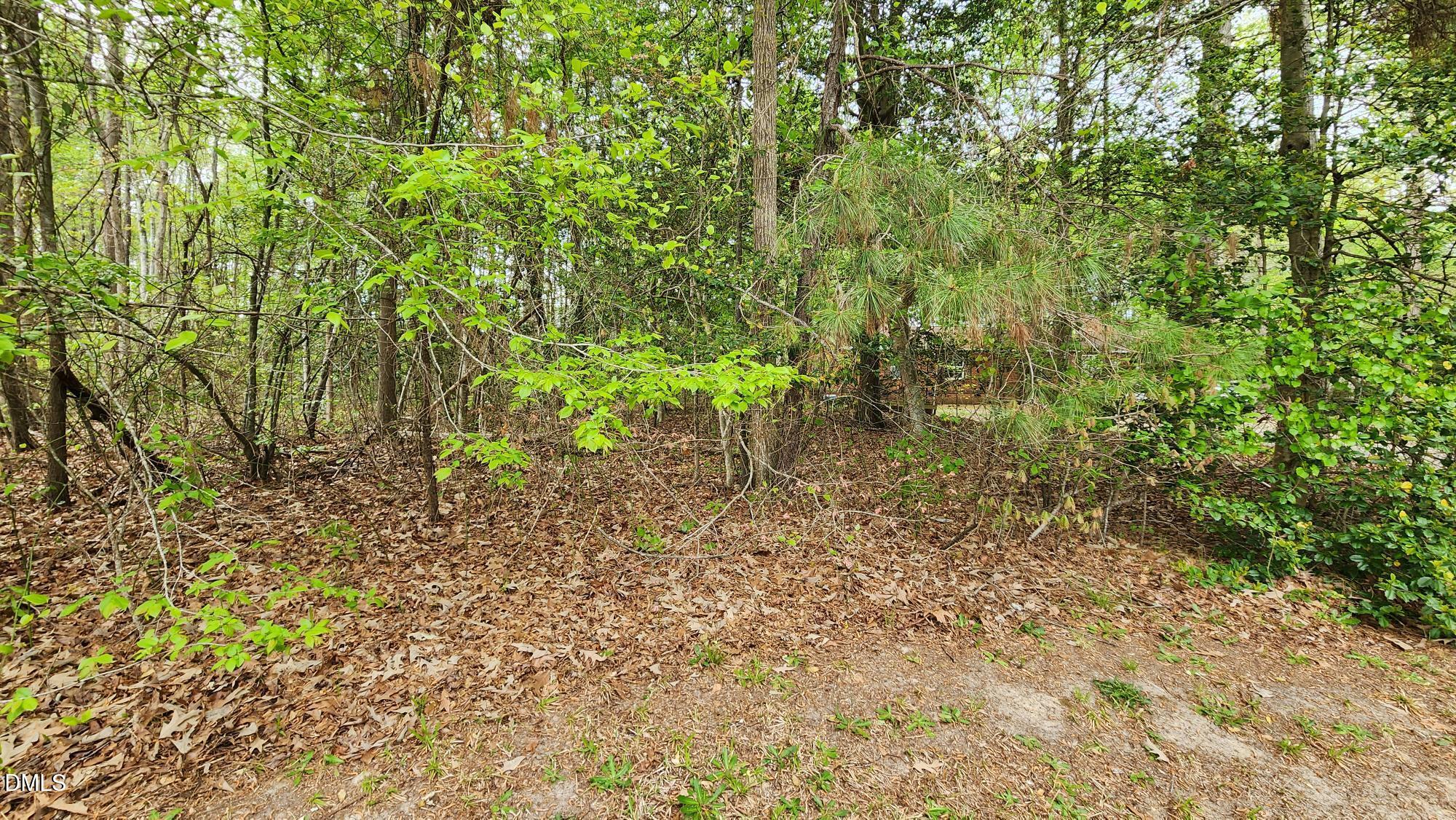 126 W Silver Belle Drive