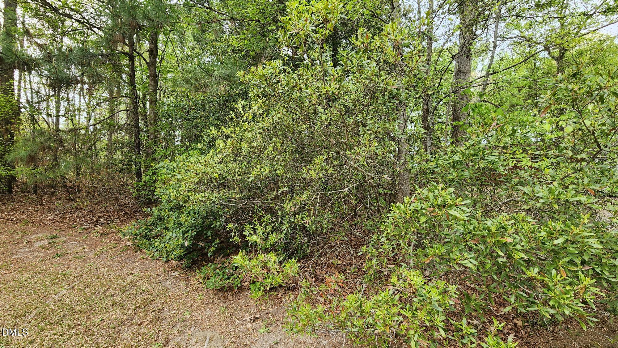 126 W Silver Belle Drive