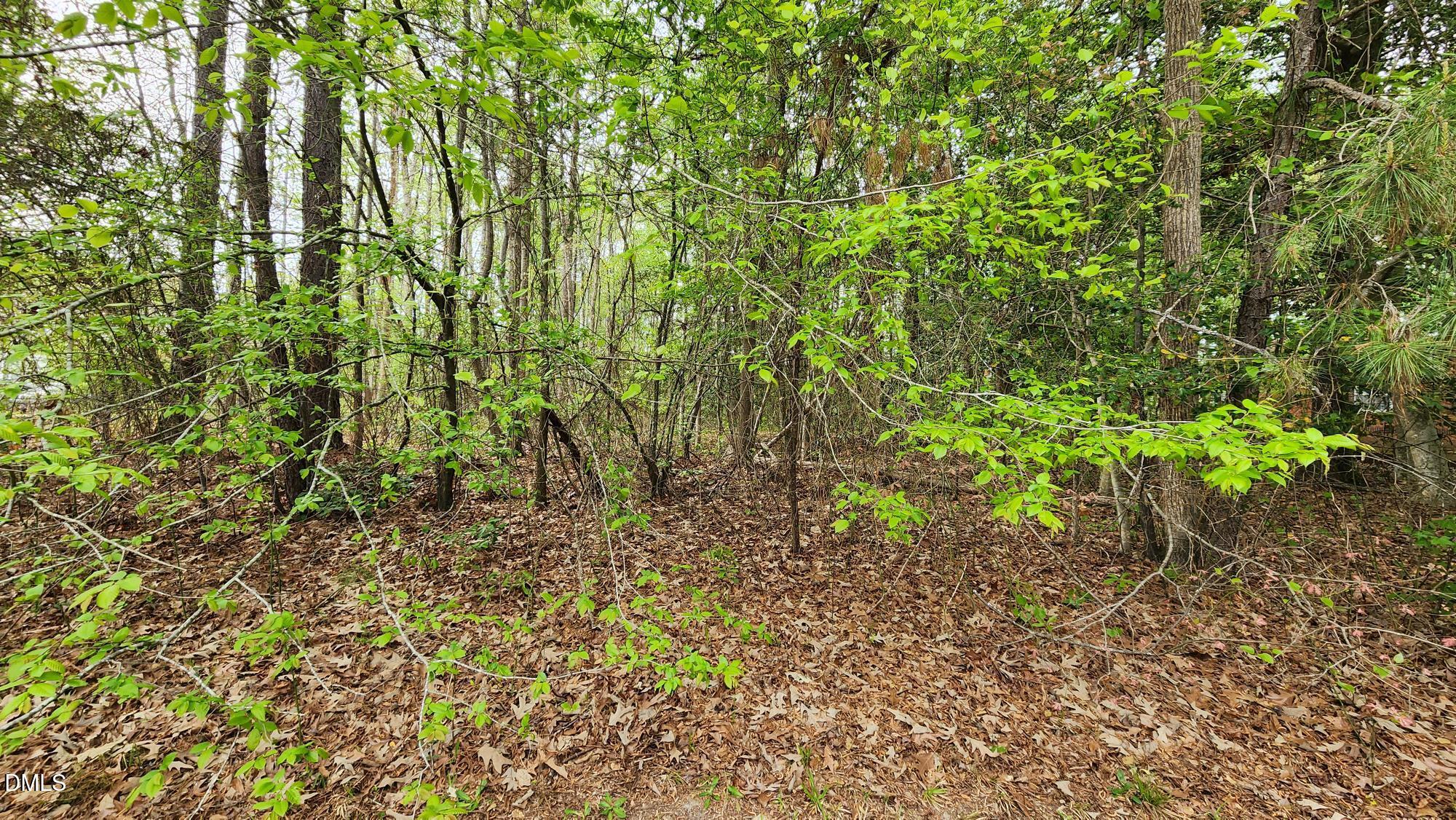 126 W Silver Belle Drive