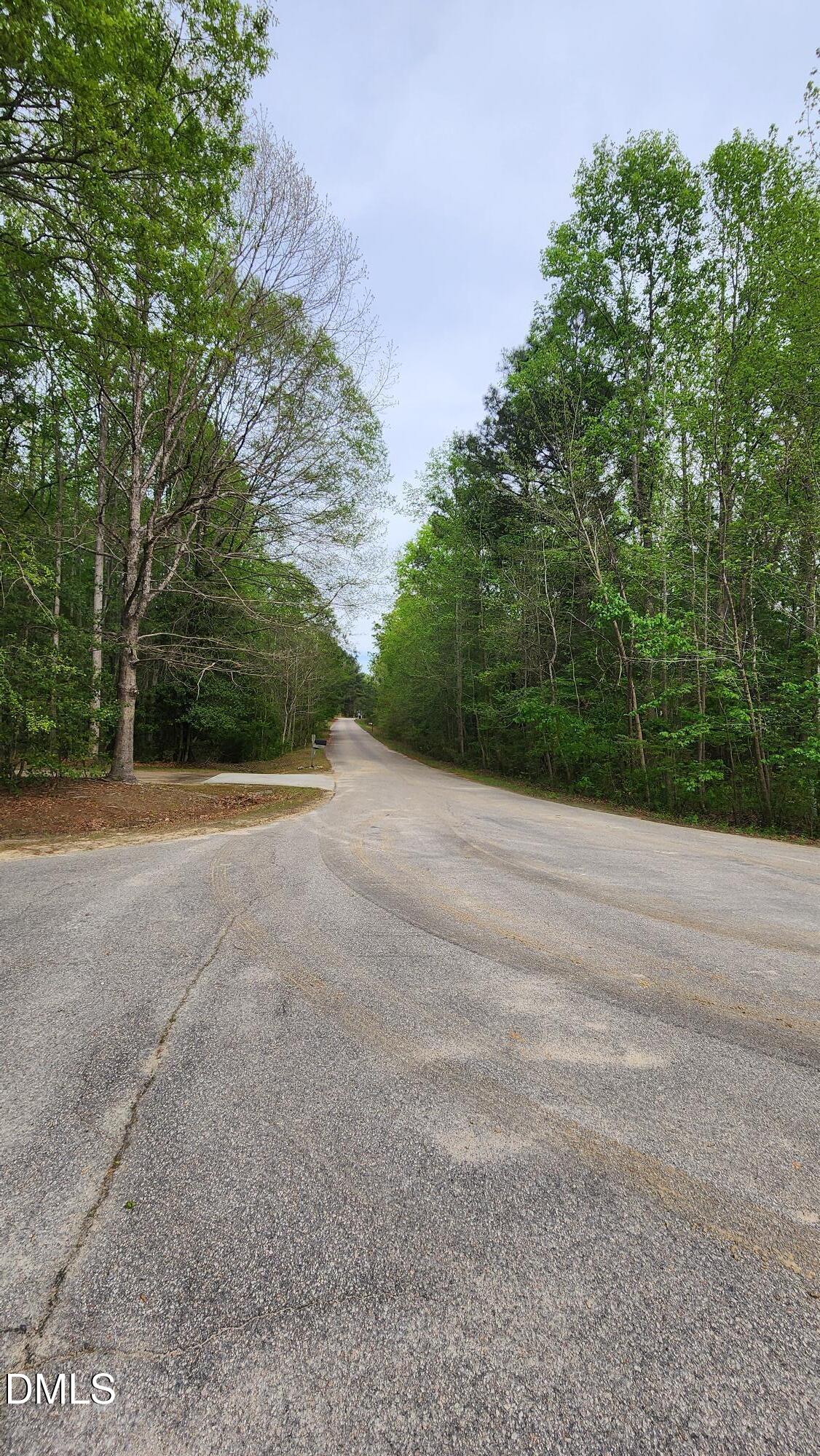 126 W Silver Belle Drive