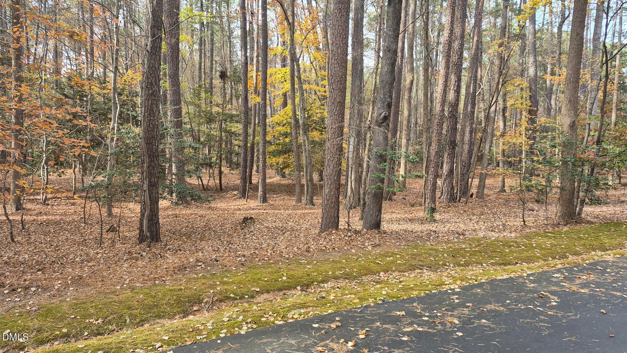 5209 Ginger Trail