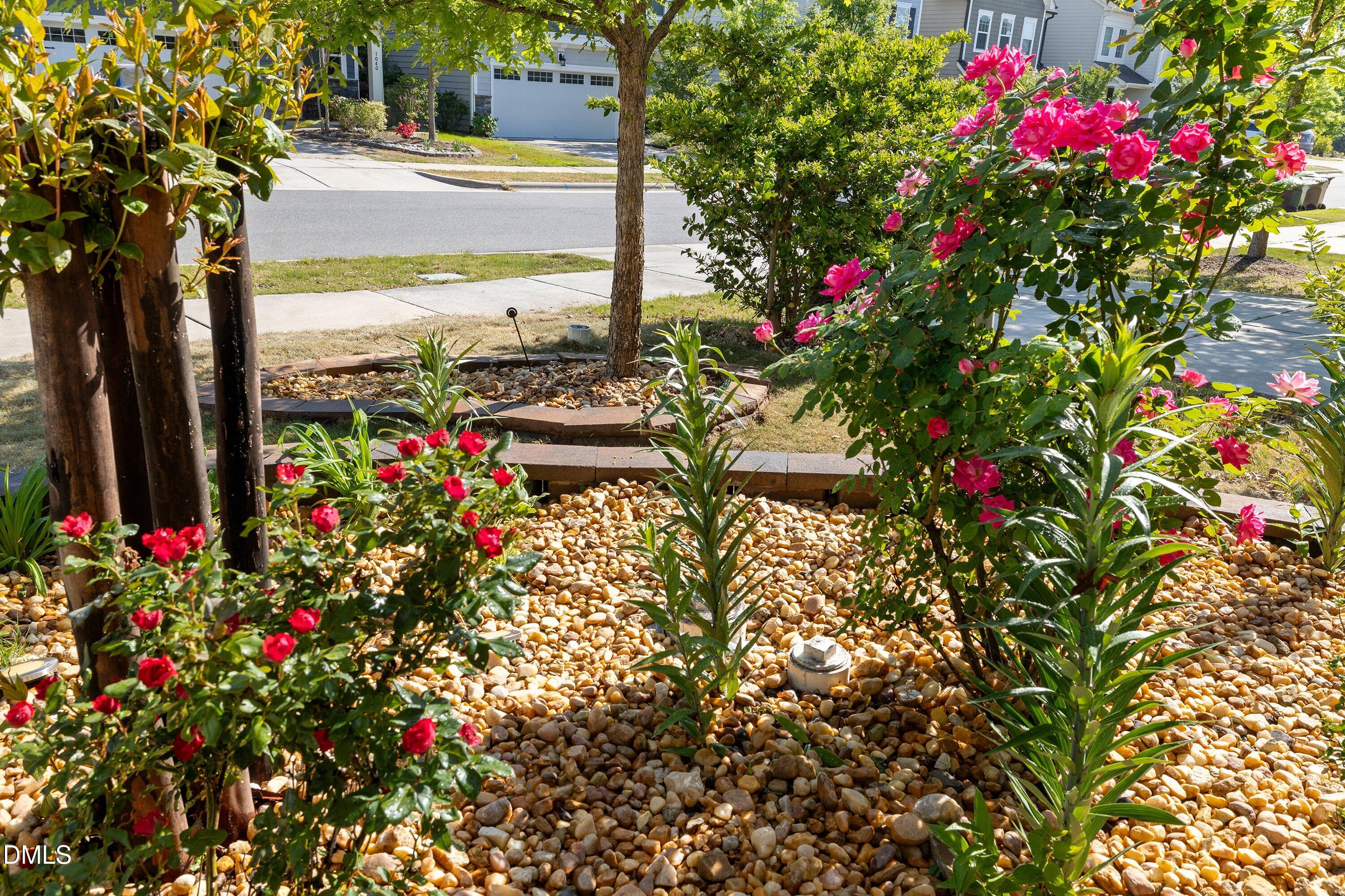 1041 Canyon Shadows Court