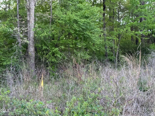4222 JEFFRIES RD, DURHAM, NC 27704 - Image b7977c2fe7ae37f7f14b2f3a824d4cba/77397784