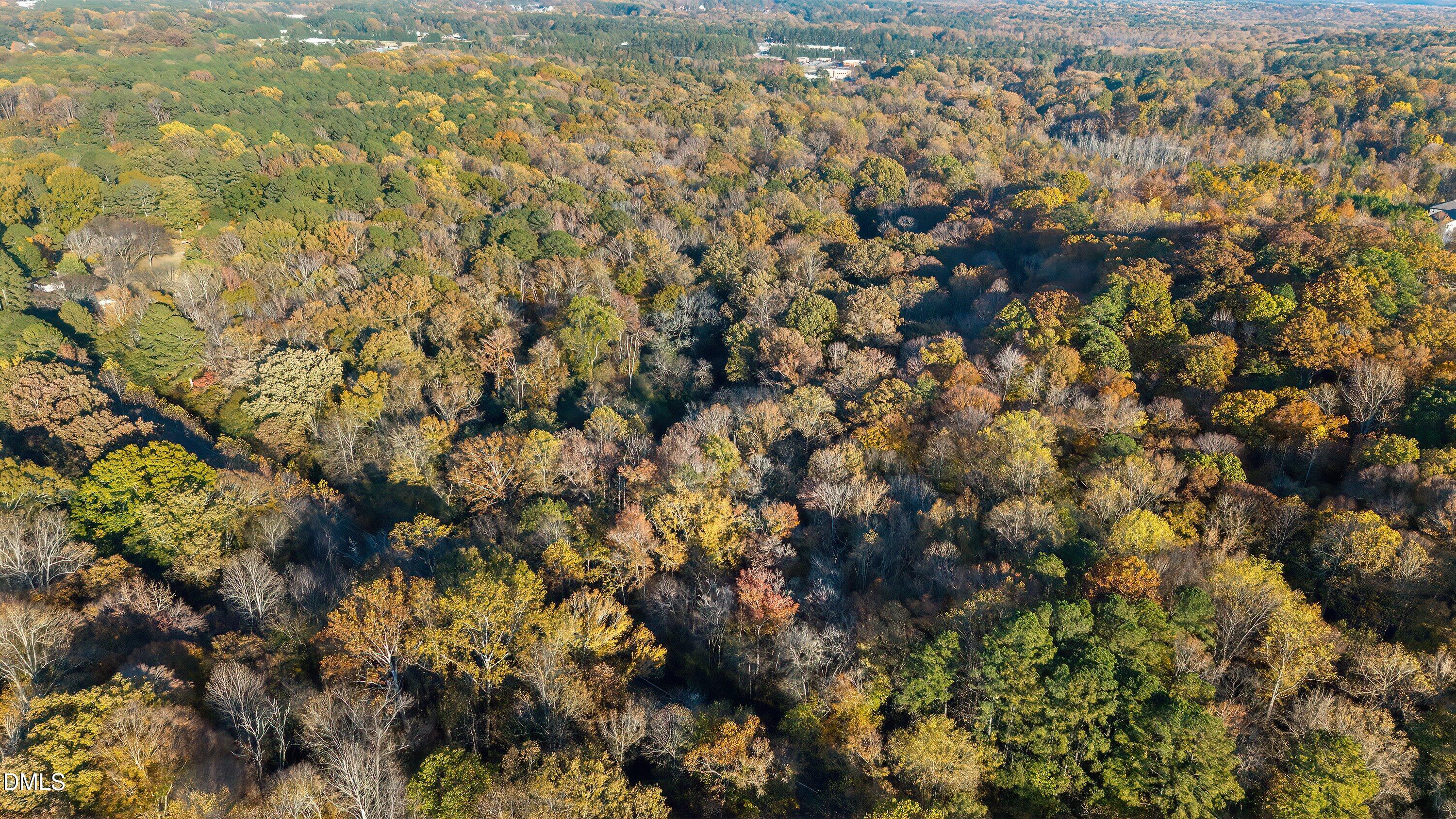 9705/9713 Lake Wheeler Road