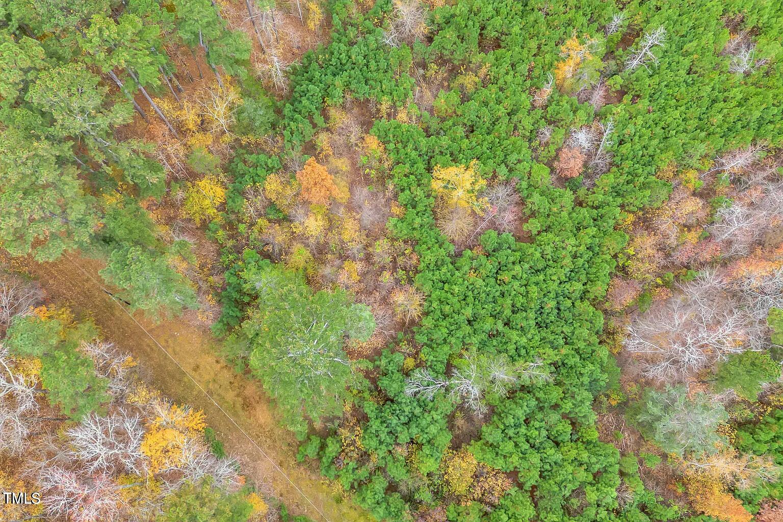 Lot3 Canopy Drive