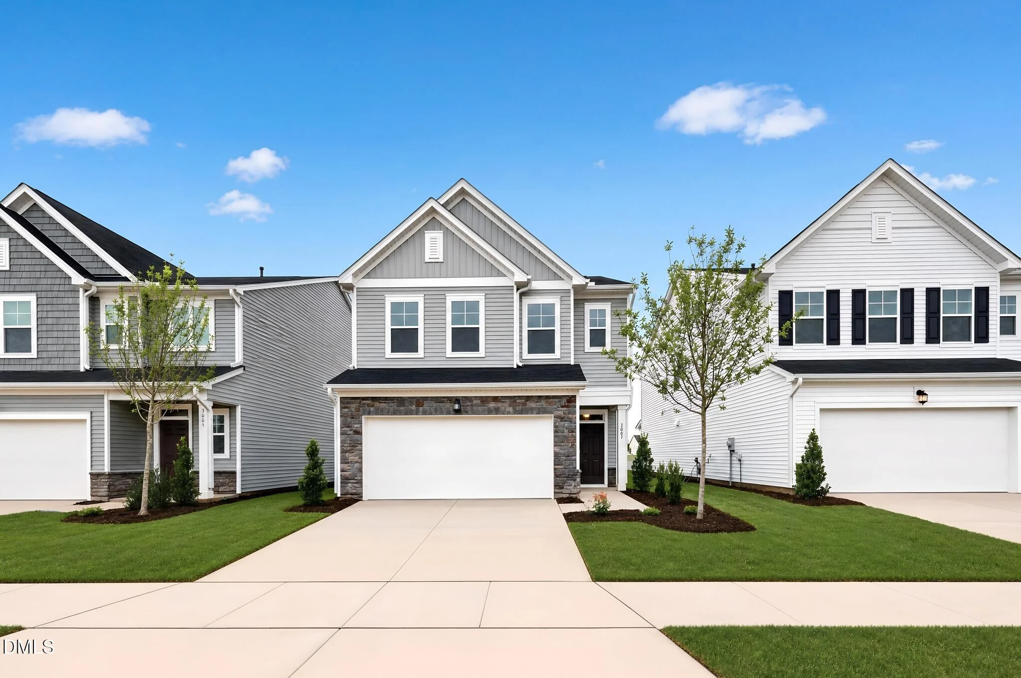 3007 Bay Foal Lane