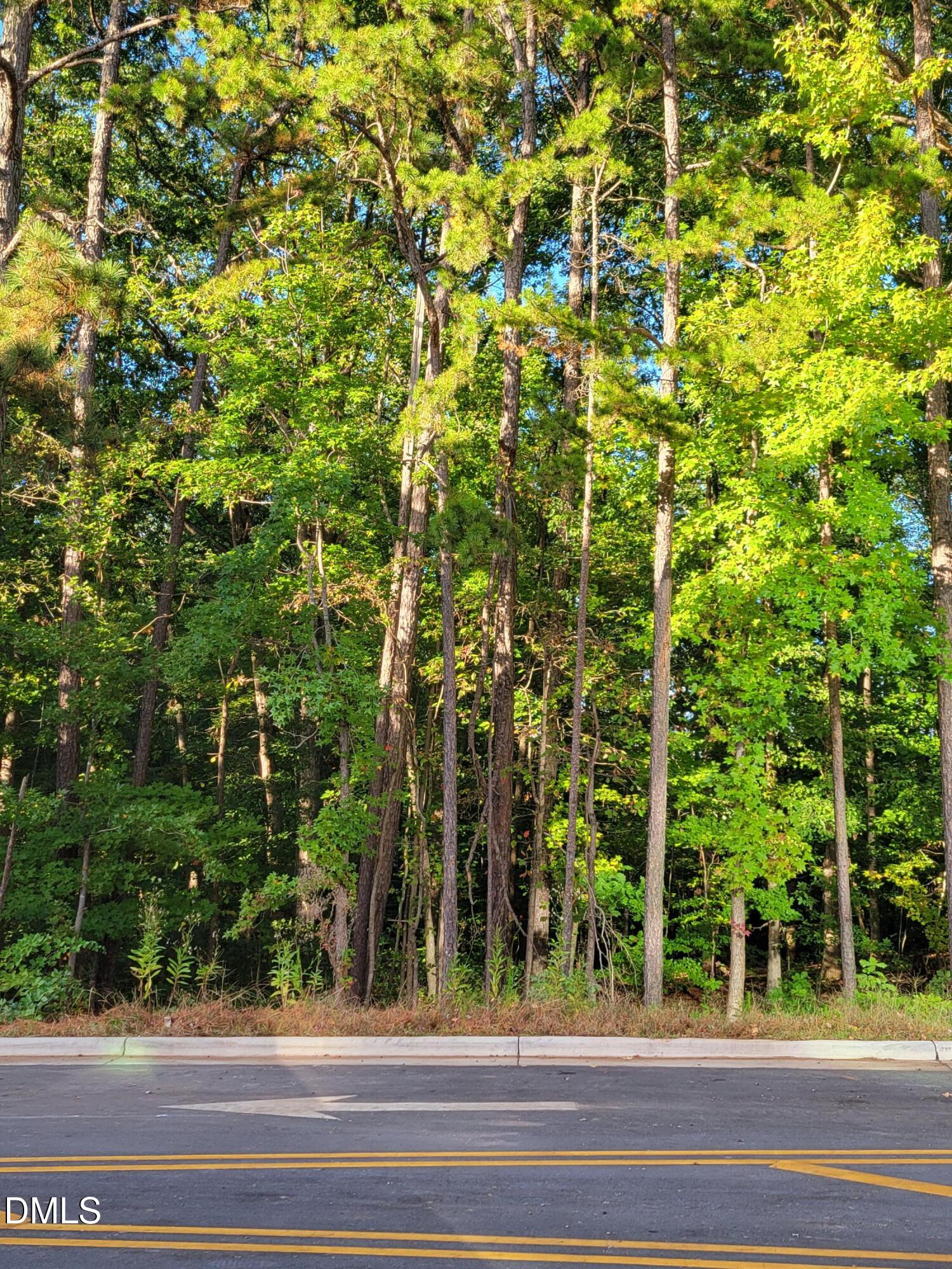 Raleigh, North Carolina 27607, United States, ,Land,Active,227681