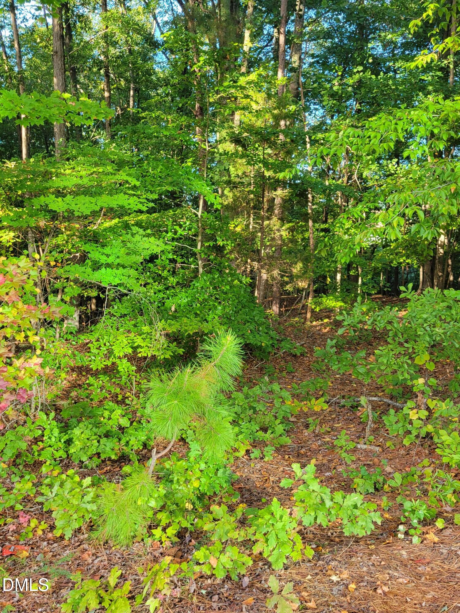 Raleigh, North Carolina 27607, United States, ,Land,Active,227681