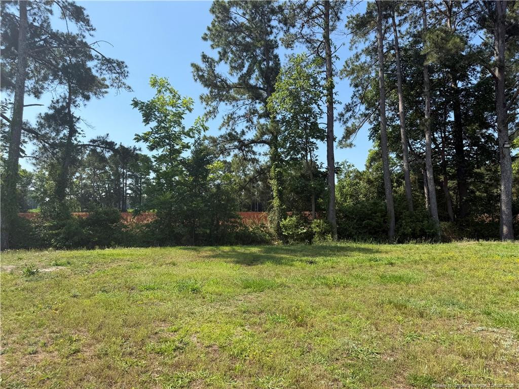 4339 Saddletree Road