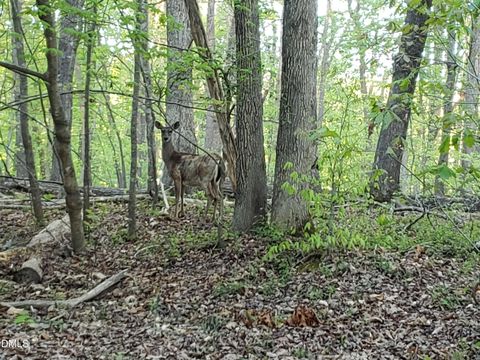Lot 2 Deer Run Trail Hillsborough NC 27278