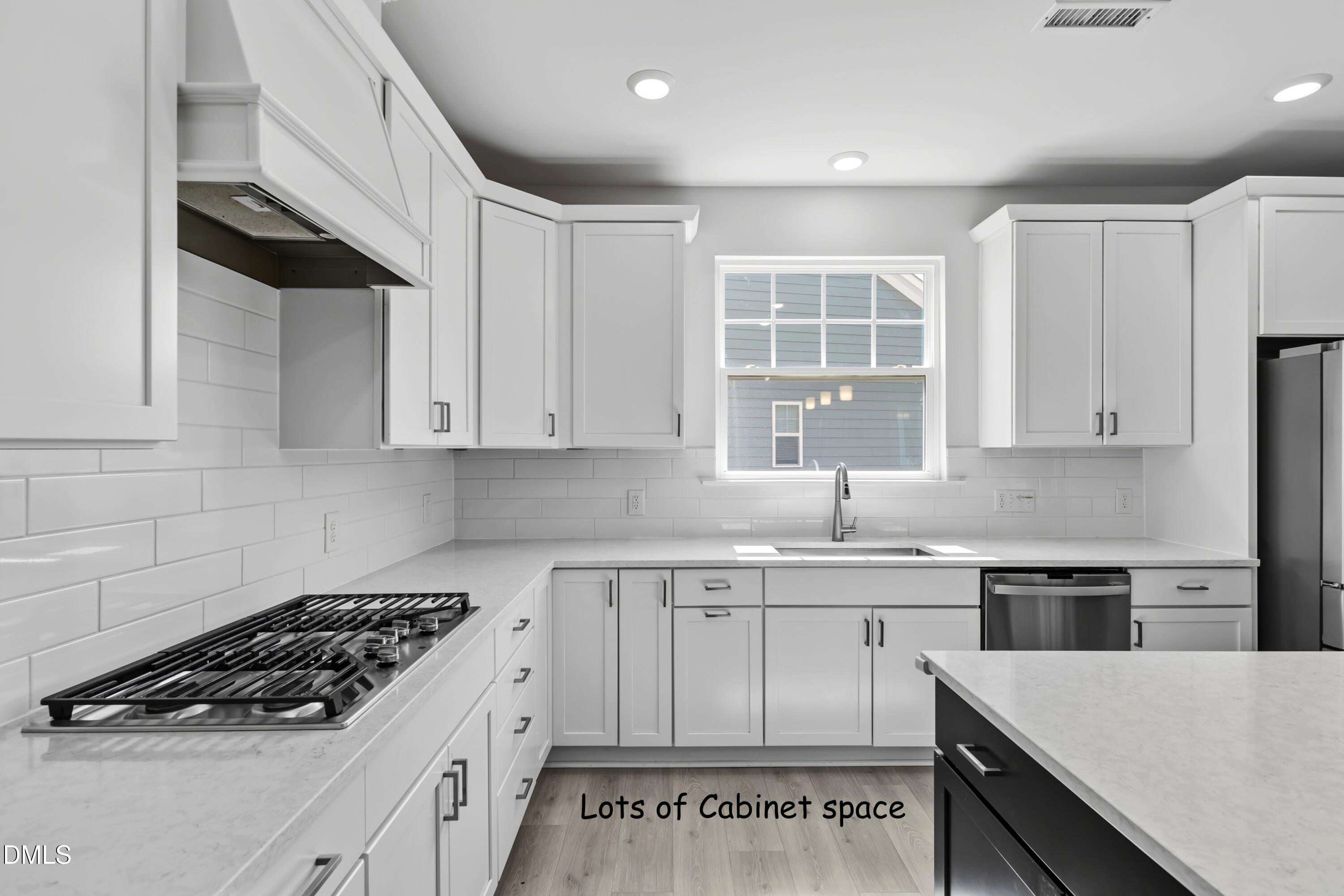 1052 Climbing Aster Drive