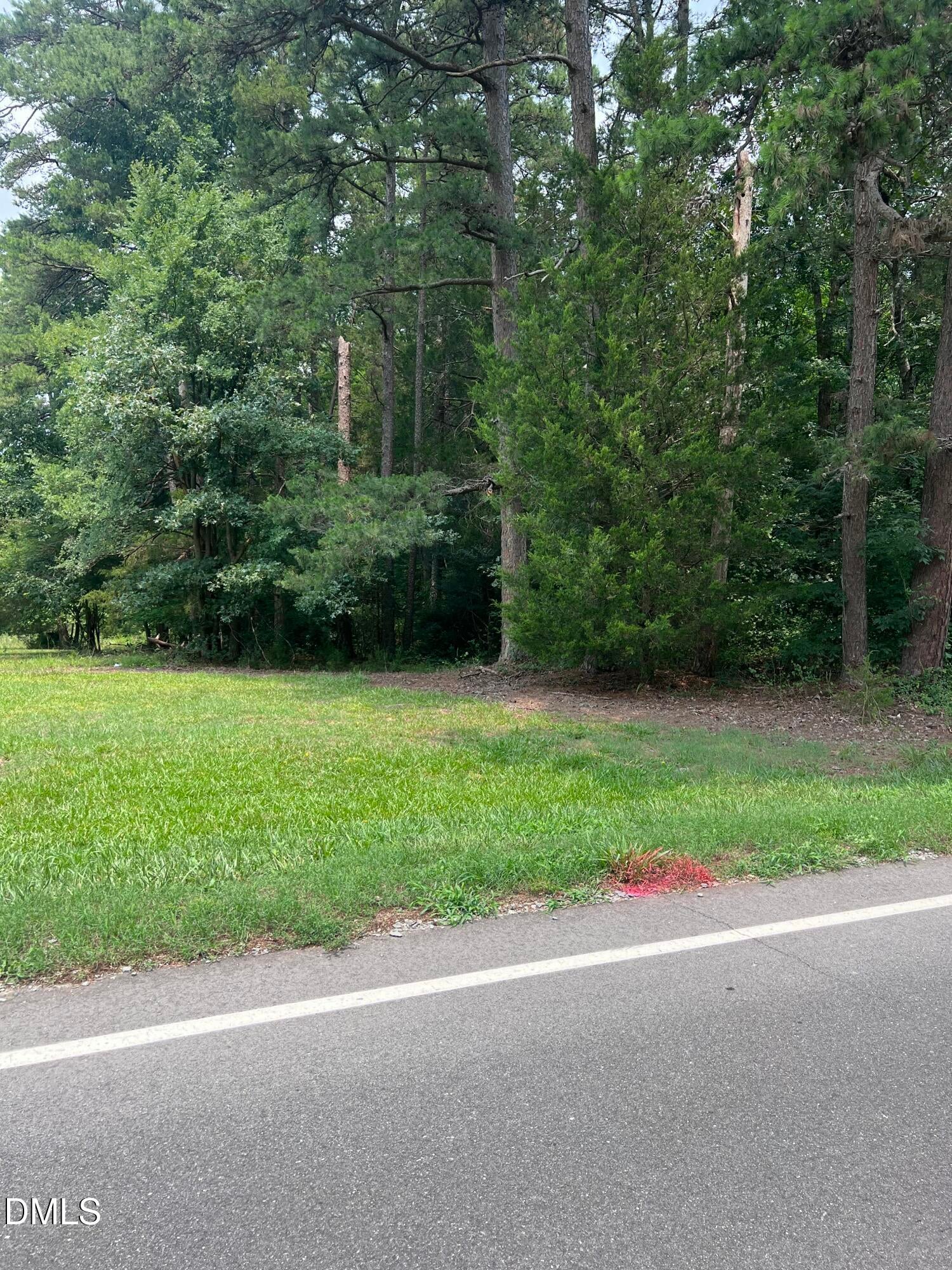 Lot 1 Elmer Moore Road