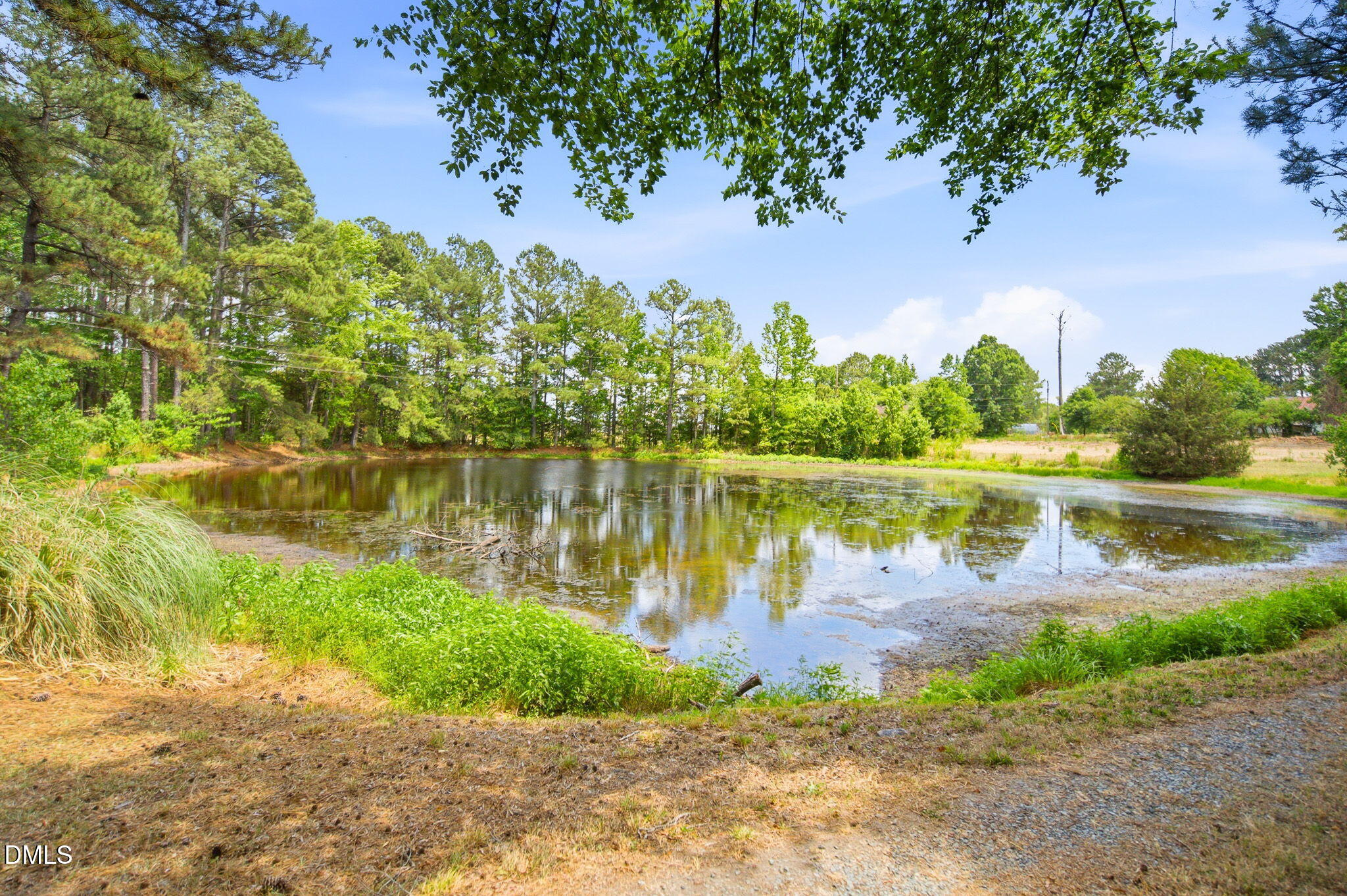 3924 Lewis Road