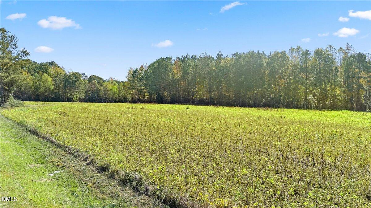 372 Embro Odell Road