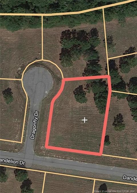 Dragonfly Drive Lumberton NC 28360