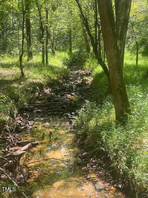 0 Lothlorien Lane Pittsboro NC 27312