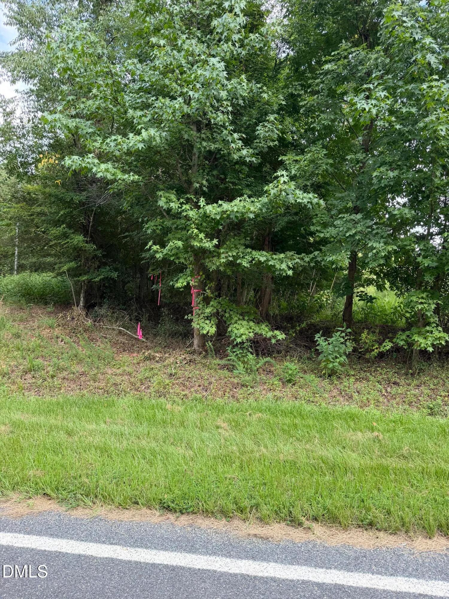 00 Chatham Church Road, Moncure, NC, 27559