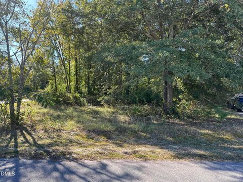 114 Durant Road Wilsons Mills NC 27520
