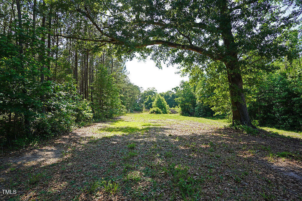 319 Vanstore Drive