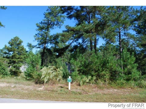 Photo of 152 Broadlake (635) Lane, Spring Lake, NC 28390 (MLS # LP734552)