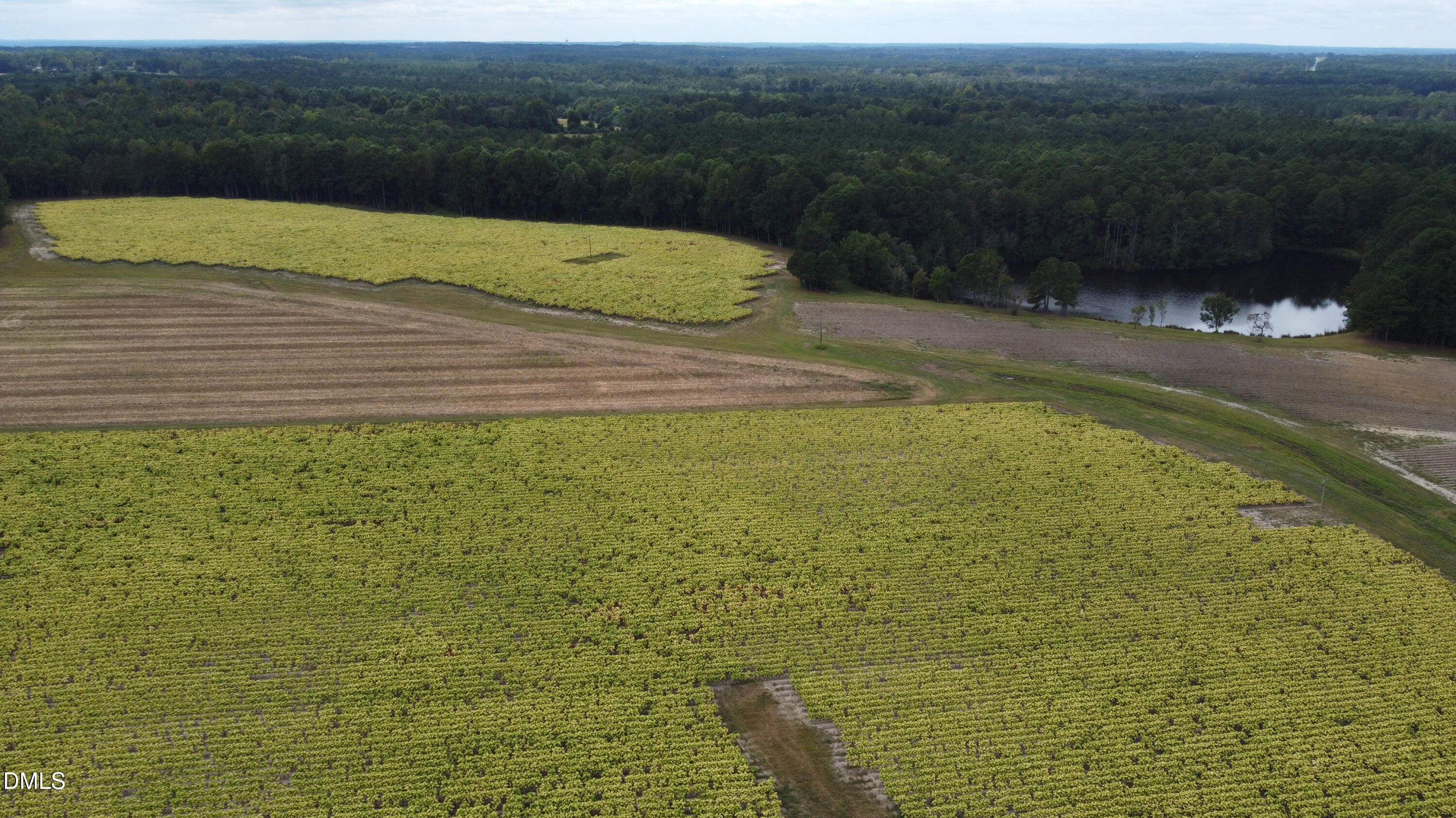 0 Mcneill Hobbs Road