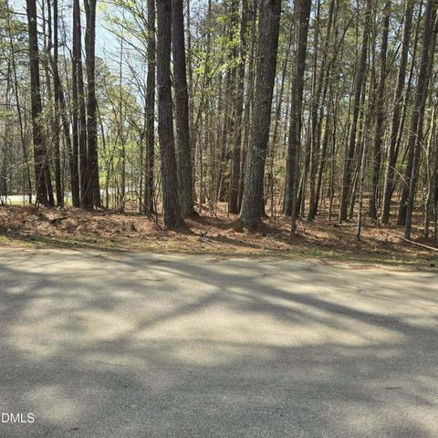 Photo of 133 Sequoia Drive, Louisburg, NC 27549 (MLS # 10156158)