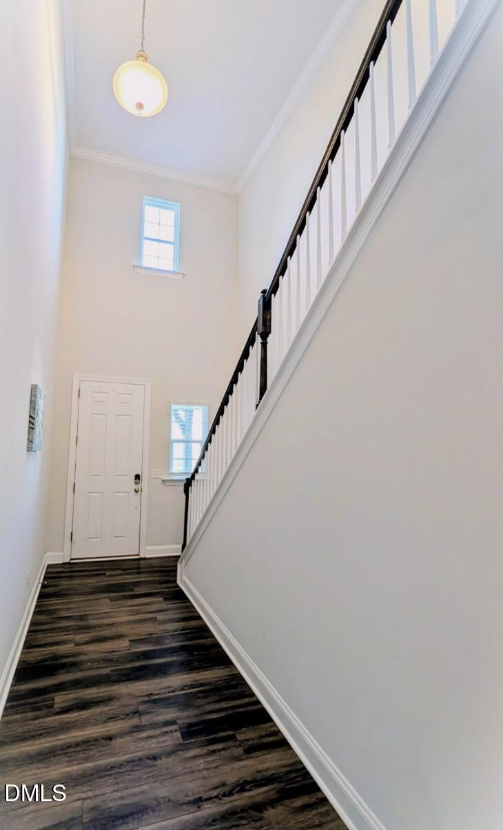 2969 Thirlestane Drive