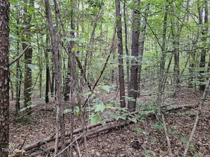 Lot 3 Doll Branch Road
