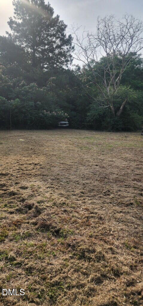 484 Yellow Skin Road
