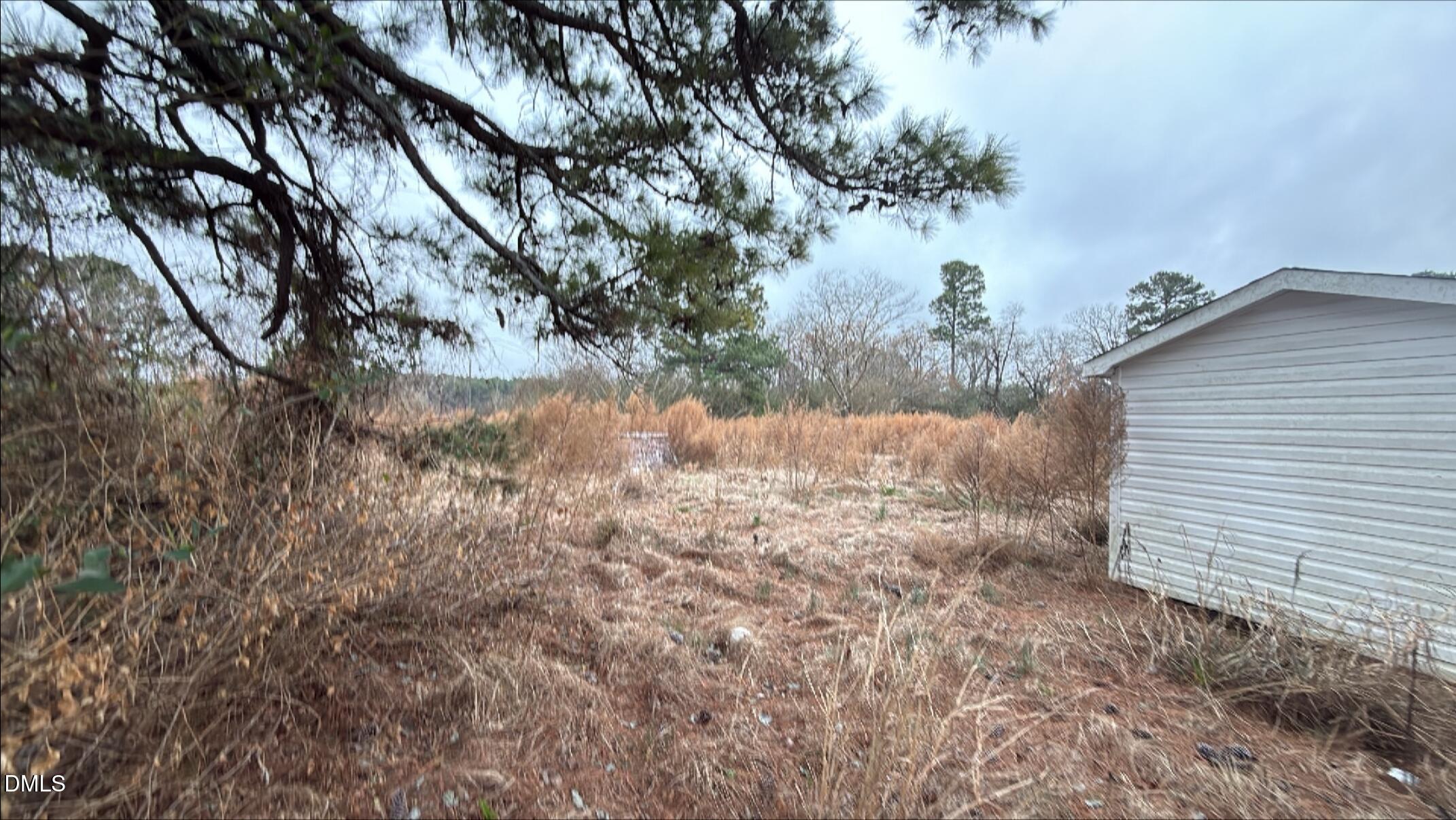 484 Yellow Skin Road