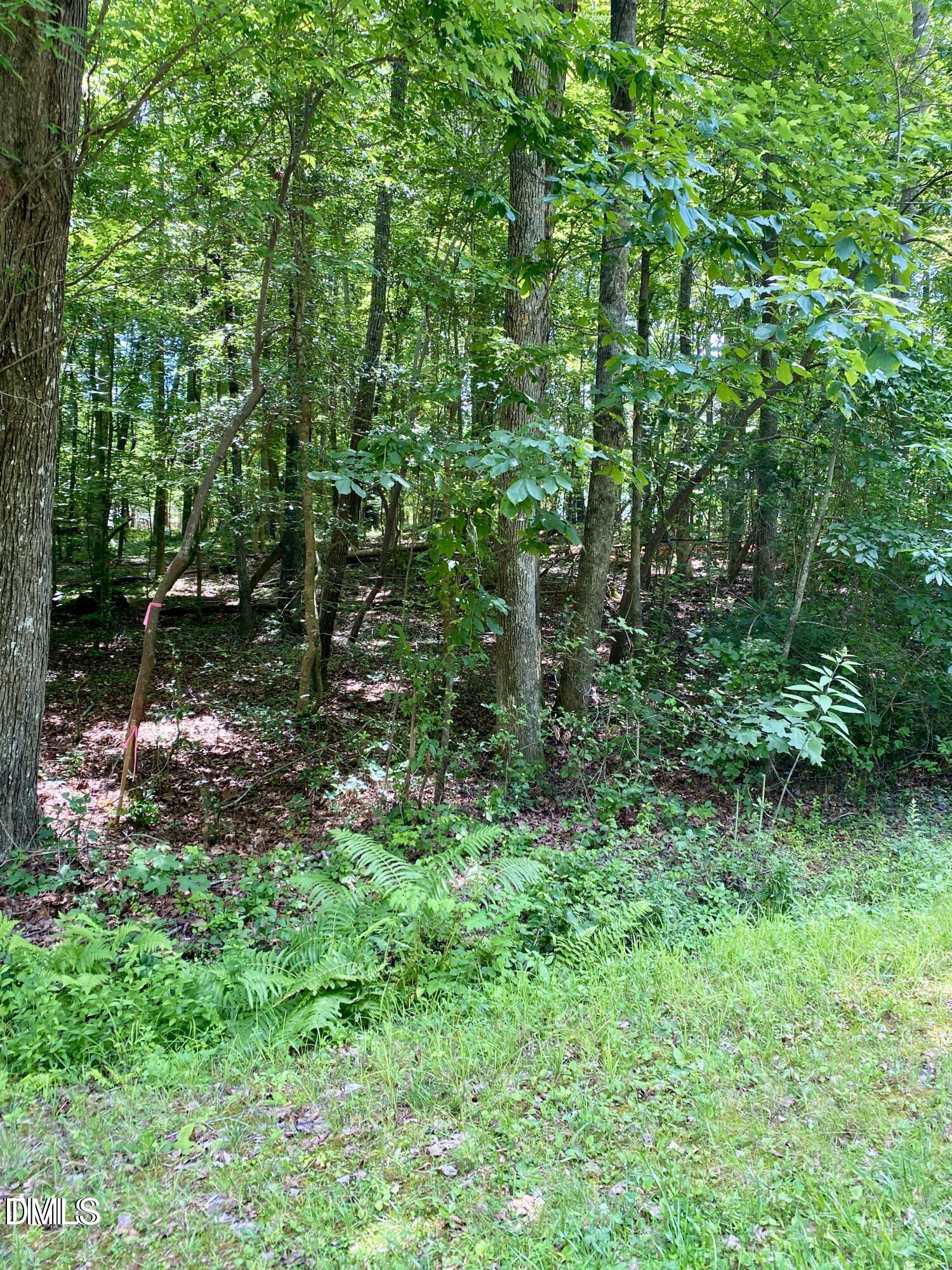 100-106 Cherokee Drive