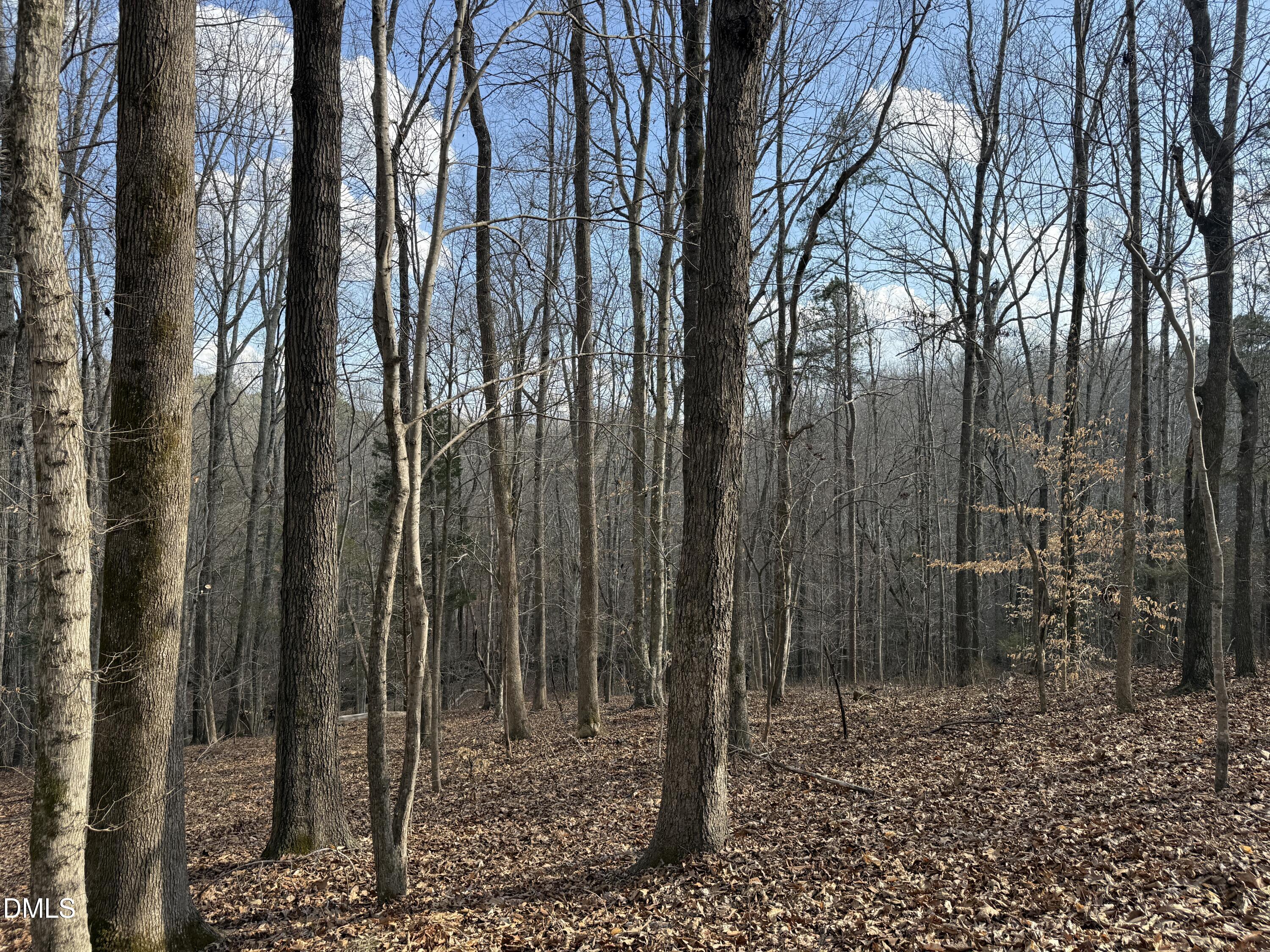 0 Birch Creek Farm Lane