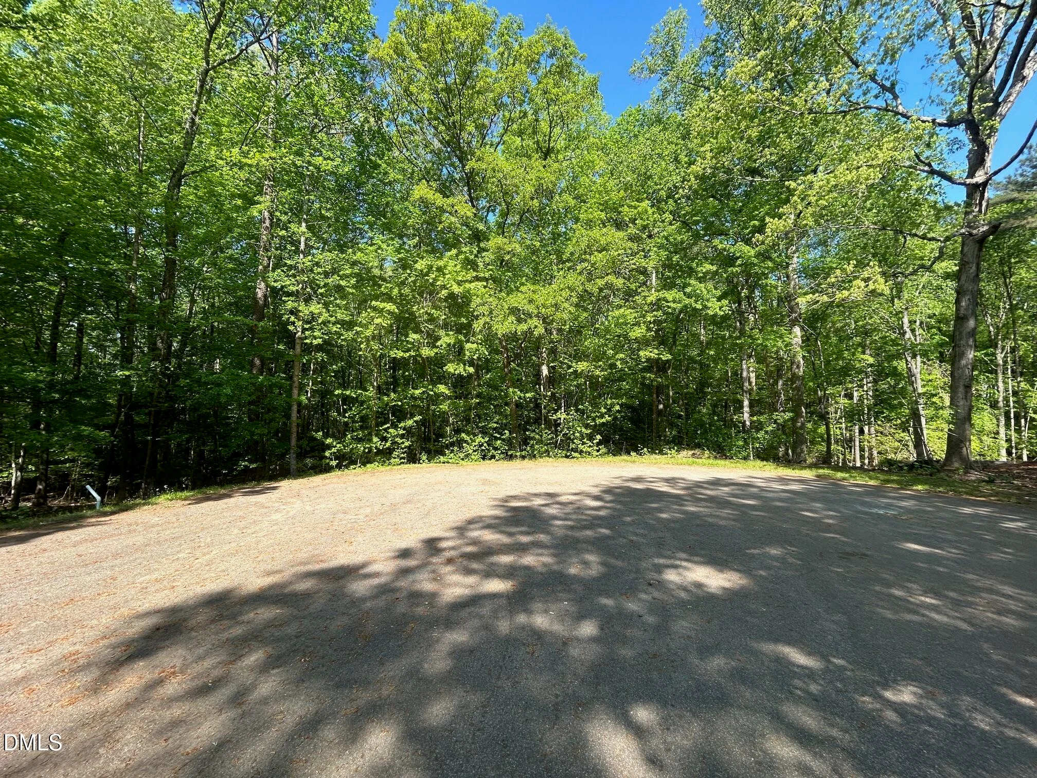 134 Red Dog Drive