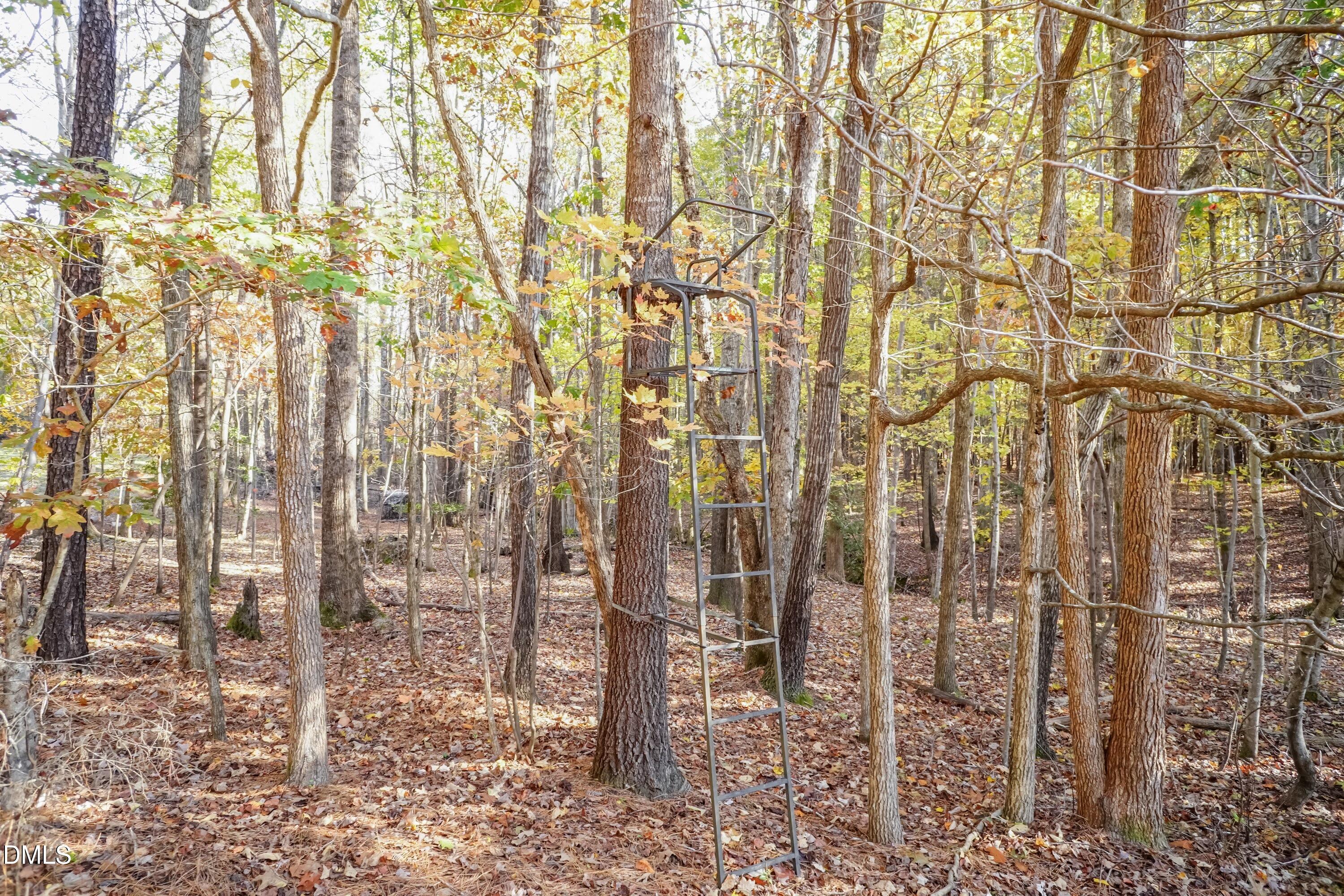 2566 Mays Crossroads Road