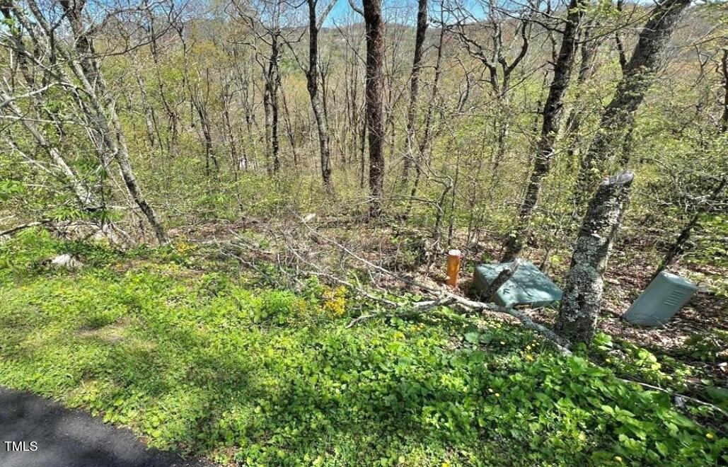 266 Little Sugar Lane
