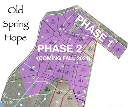 Lot 4 Green Downs Trail Spring Hope NC 27882