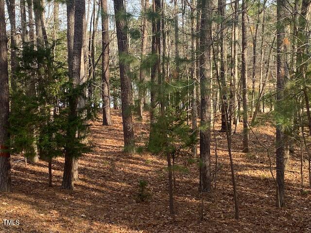 80 White Deer Lane