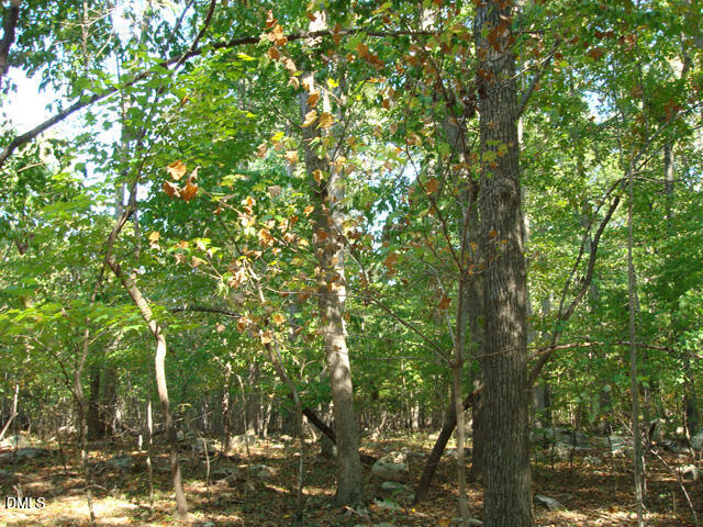 Lot 1 Lodge Trail