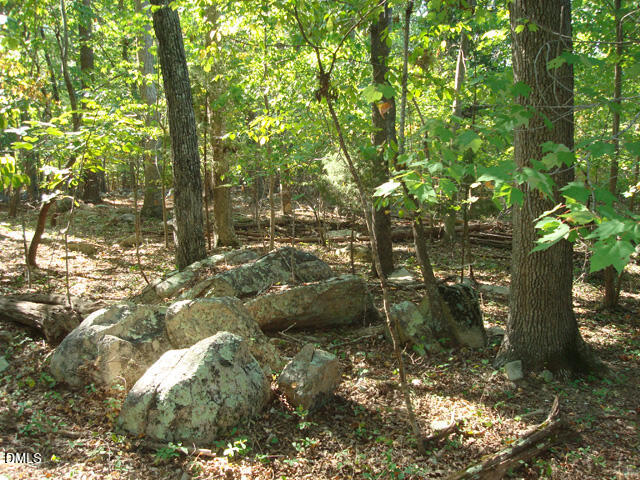Lot 1 Lodge Trail