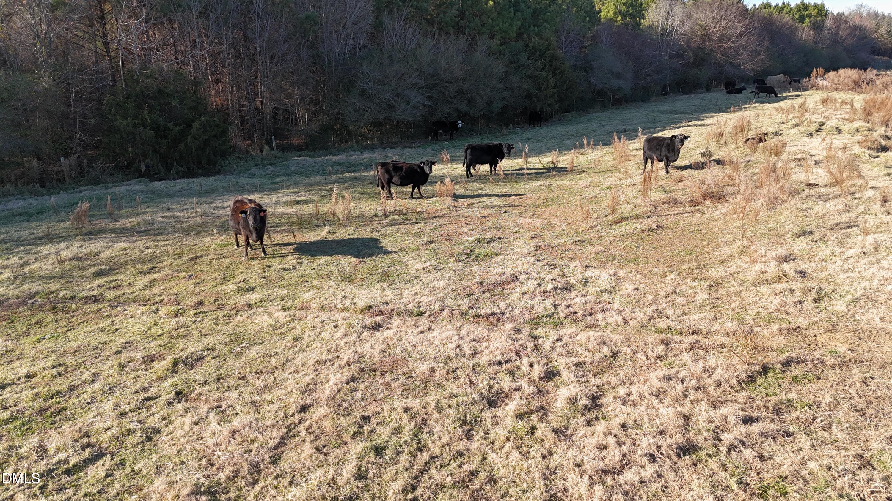 8370 Siler City Glendon Road