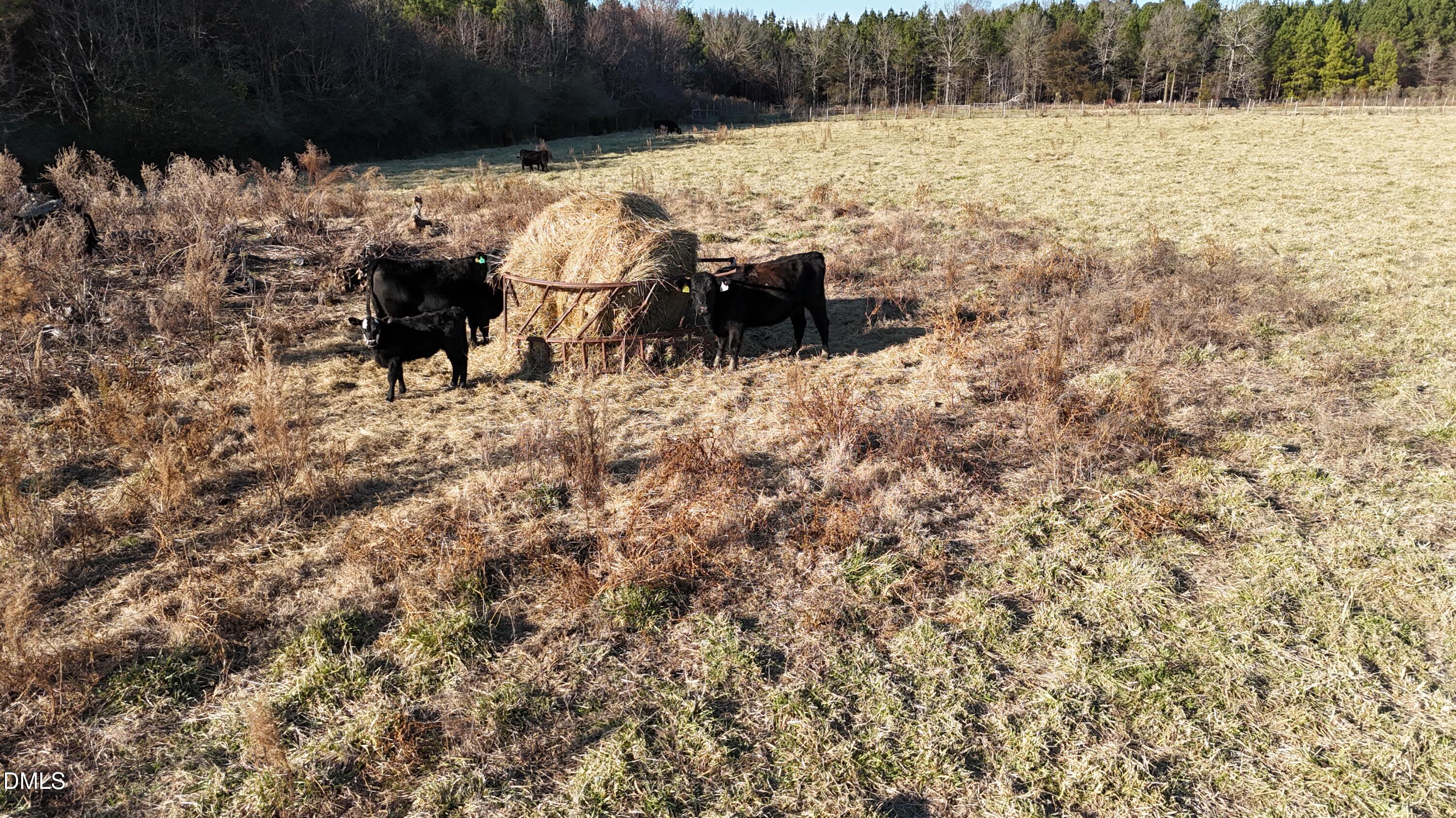 8370 Siler City Glendon Road