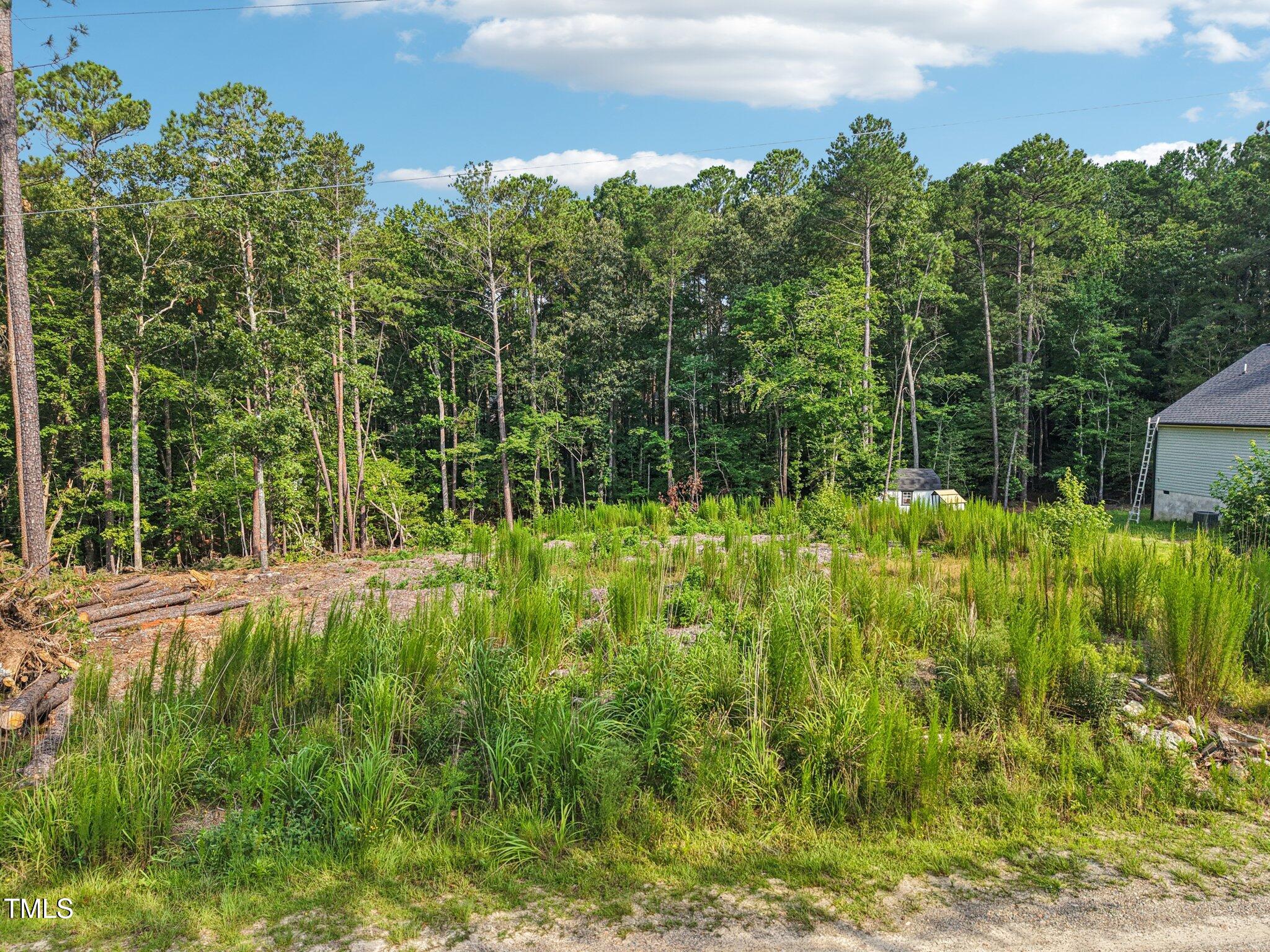 338 Natchez Trace