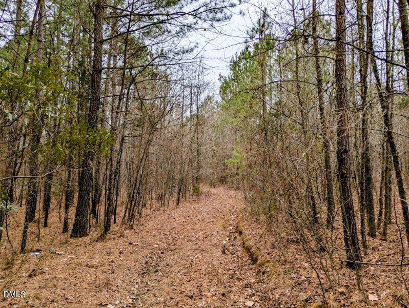 Lot #8 Mount Olivet Church