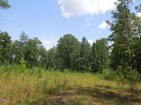 Photo of 2200 Darroch Road, Lillington, NC 27546 (MLS # 10189744)