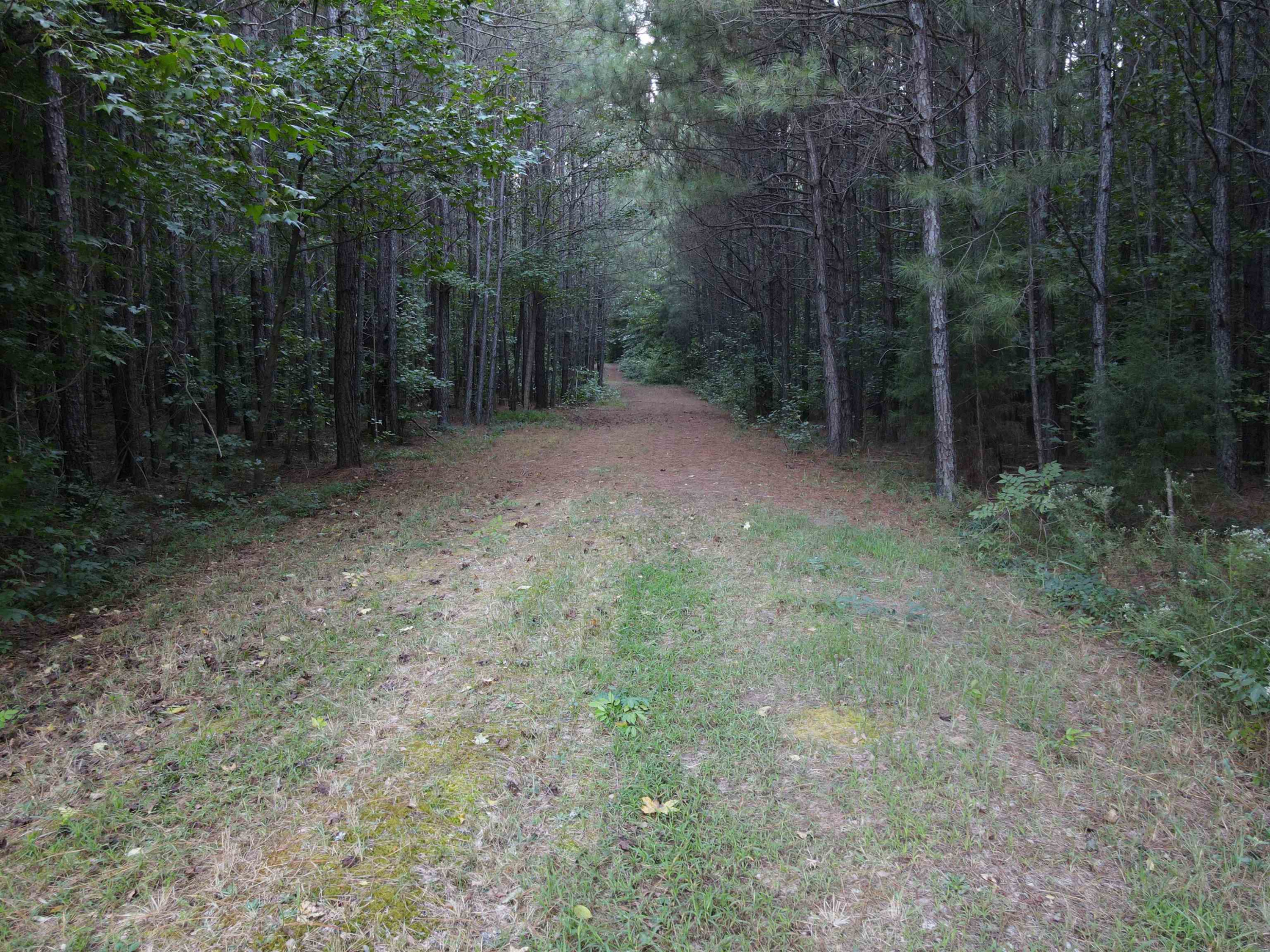 Creedmoor Road