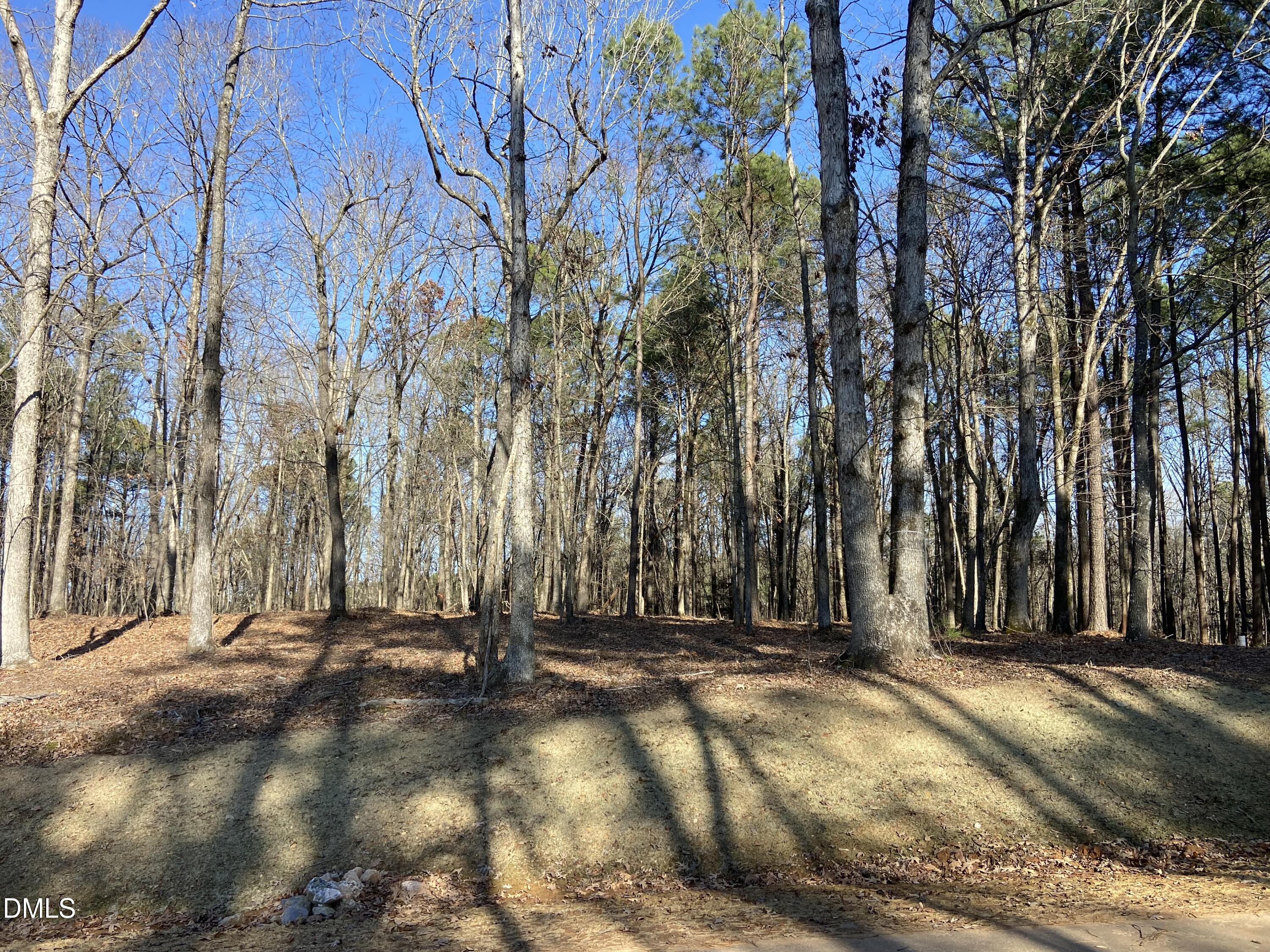 6728 Bartley Point Drive