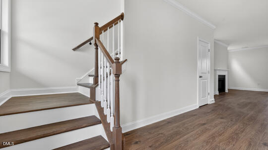 1529 Jasmine View Way